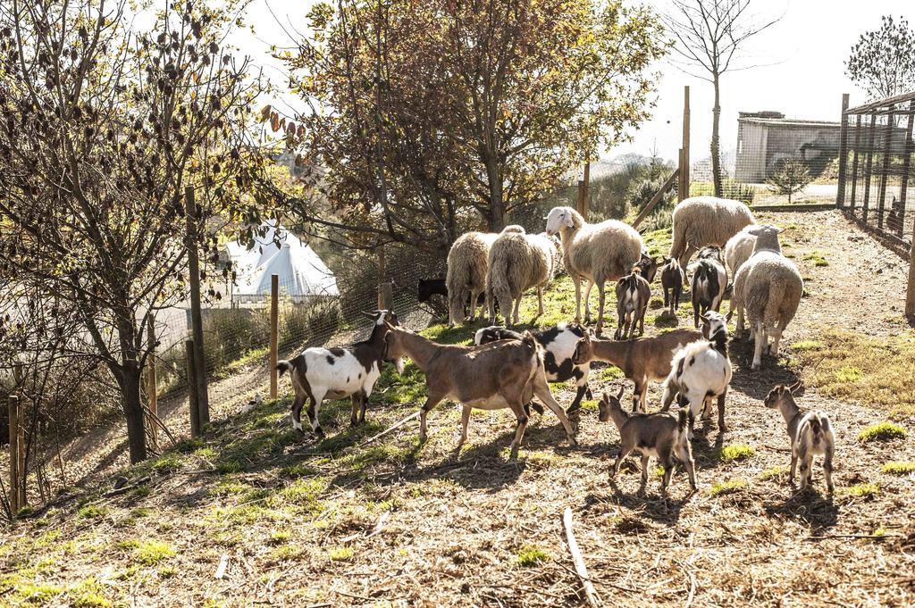 Azienda Agrituristica Alcastle Montabone Екстериор снимка