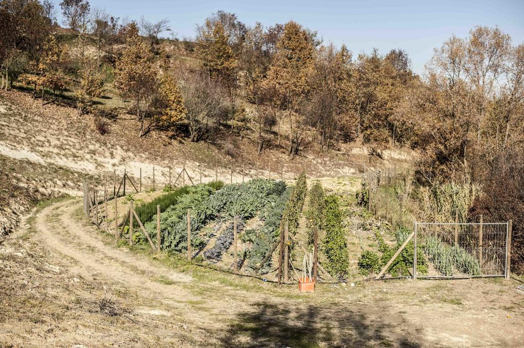 Azienda Agrituristica Alcastle Montabone Екстериор снимка